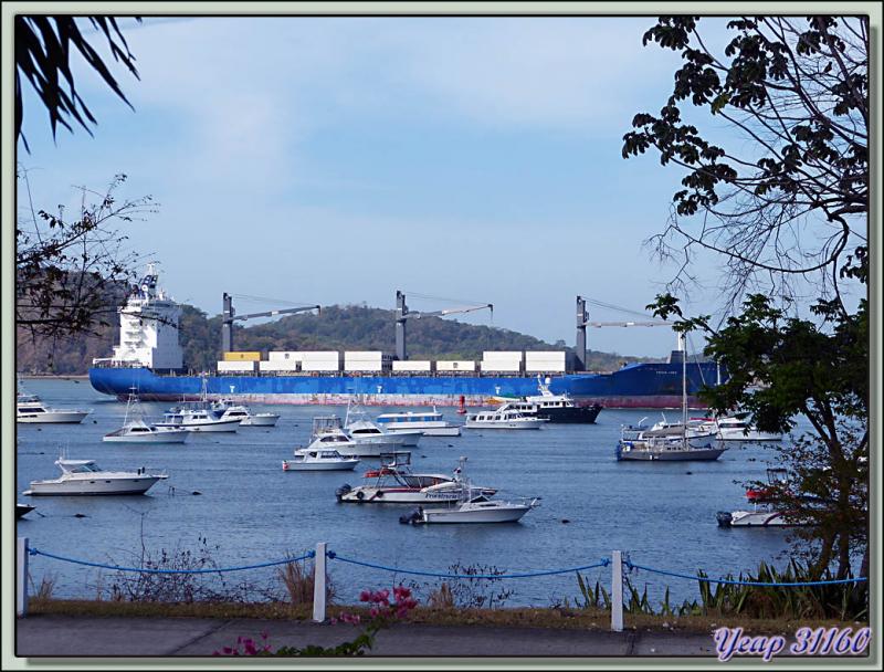Le Frisia Loga (208 m x 30 m, 33000 t) prend le canal direction l'Atlantique - Panama City - Panama