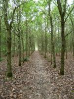 La randonnée du 14 octobre à Fleury-sur-Orne