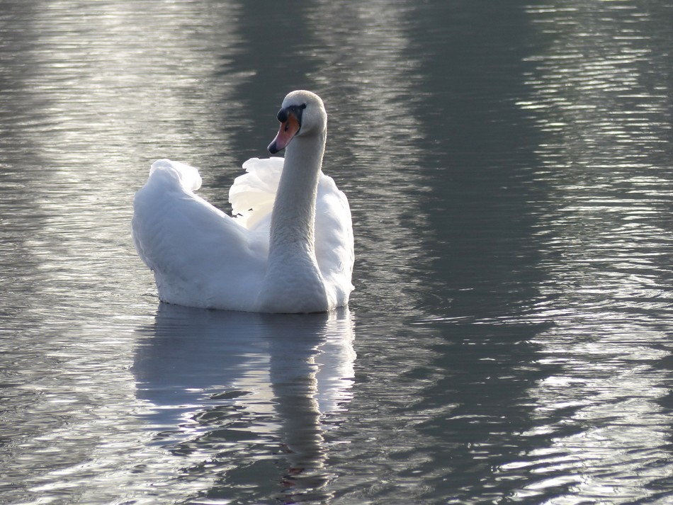 Entre deux tempêtes ... 