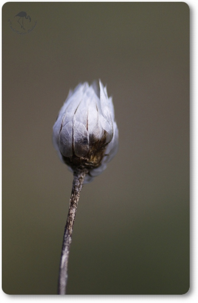 Automne...