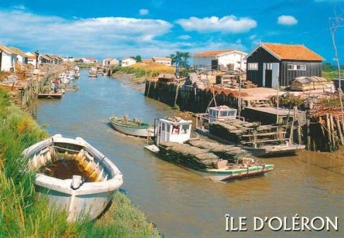 ╰⊱♥⊱╮ღ꧁   17 Charente Maritime  ꧂ღ╭⊱♥≺