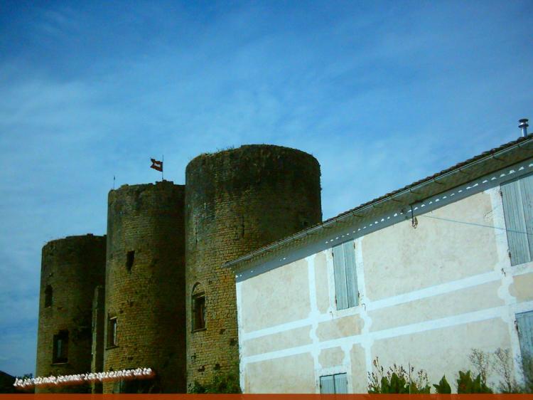 suite du château du pape Clement V a Villandraut (Gironde)
