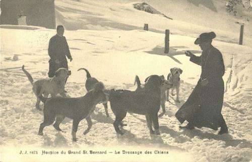 Saint-Bernard