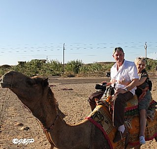 img3973bmarq