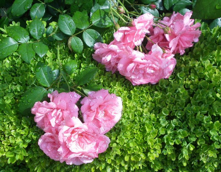 image08.jpg
