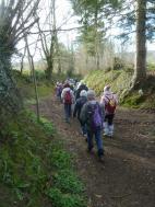 La randonnée du 7 avril à Roucamps