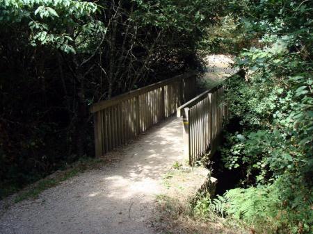 etang_du_Val_St_Martin_Pornic__25_