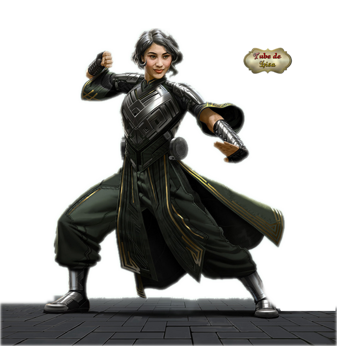 Asiatique série 4