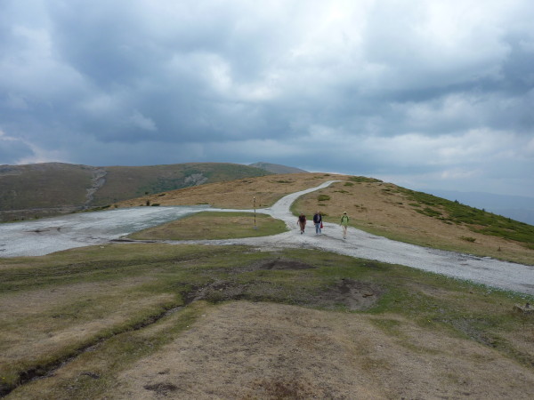 Jour 13 - Parc national - Randonnée 1