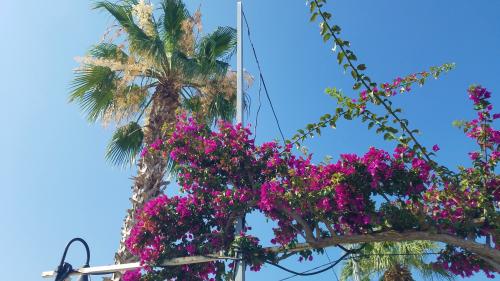 La réparation par le doux câlin de la mer