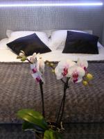 Bulles d'air et de surprise de ces derniers jours ...