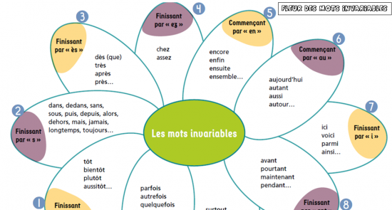 Les mots invariables 