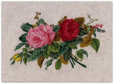 6-Roses-in-their-spendour.jpg