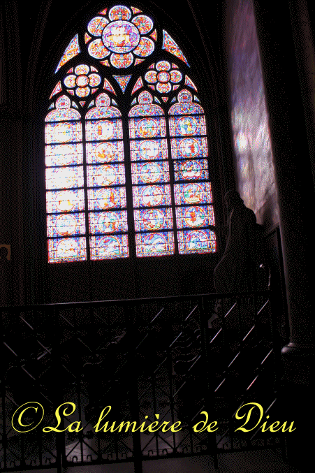 La cathédrale Notre-Dame de Paris