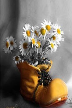 Bouquets marguerites(2)