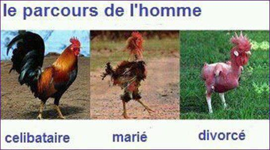 Humour du dimanche ... !!!