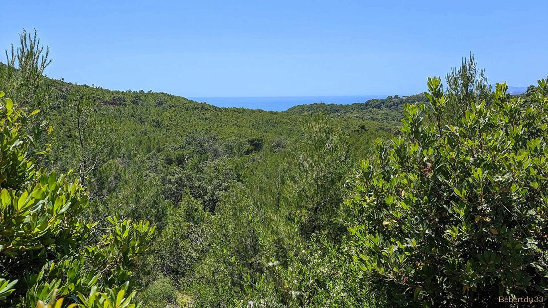 Le Pradet dans le Var