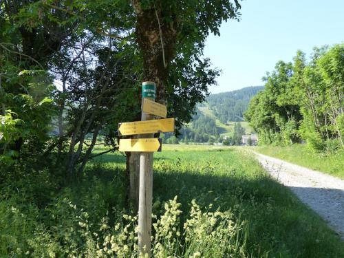 Le long de la Rouanne (Ancelle - Champsaur)