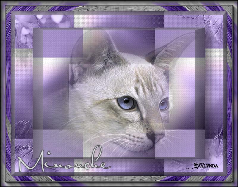 Minouche