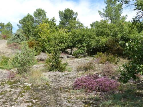 Grottes de la Jaubernie (Privas - Ardèche)
