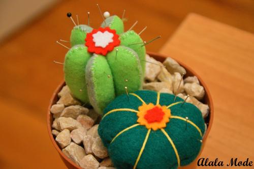 Le monde entier est un cactus