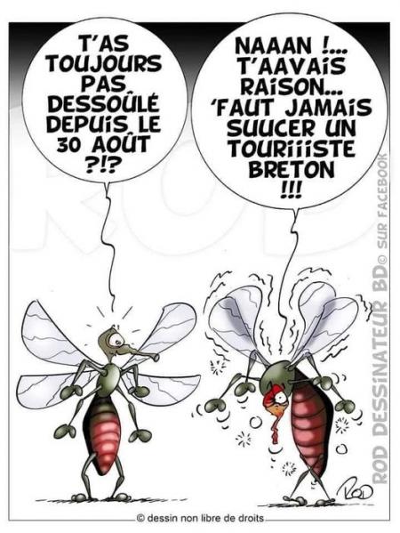 Un coup d'oeil sur notre belle France qui s'enfonce dans le Grand Remplacement.