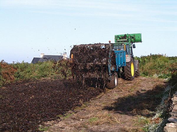 Courageux nos agriculteurs !