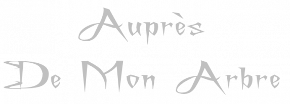 ღ꧁ღ╭⊱ꕥ  Nos Arbres  ꕥ⊱╮ღ꧂ღ