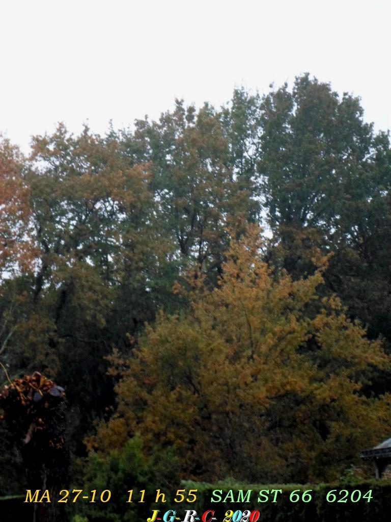 CIEL DE JOUR OU DE NUIT Semaine  44  D  01-11-2020
