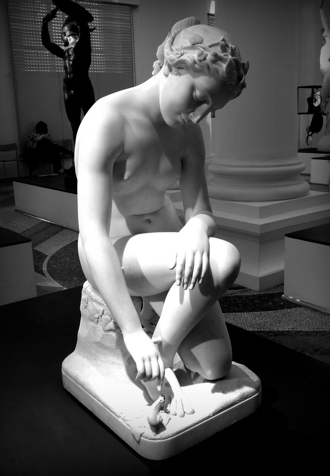 Le grand Musée de Picardie