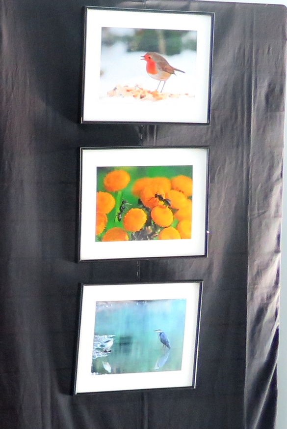 La Société Mycologique du Châtillonnais a présenté une belle exposition et une très intéressante conférence au pantographe de Venarey les Laumes