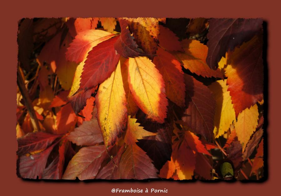 Pornic en automne