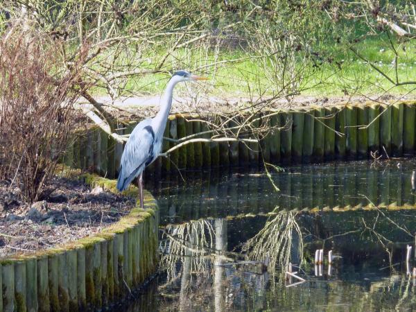Ville d'Avray, Chaville et la forêt de Fausses Reposes