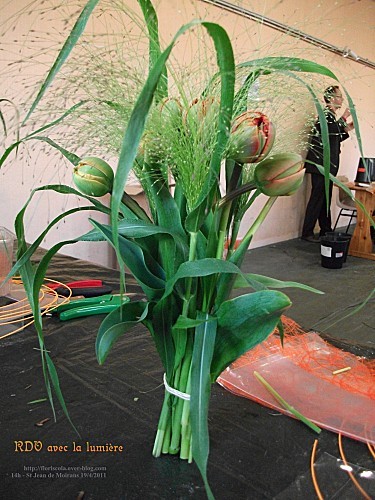 RDV avec la lumière avril 2011 H
