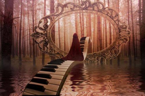 Tout pour la musique