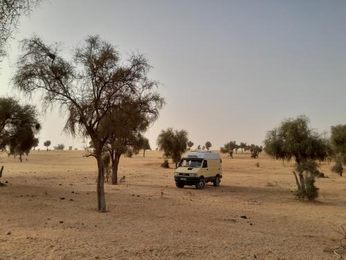Depuis Nouakchott