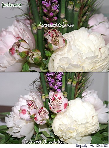 2011 10 05 jardin secret 3