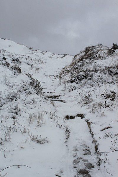 Neige en Monts d'Arrée 084