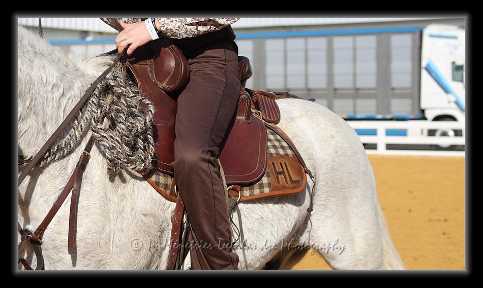 Equisud 2011 - En Camargue...