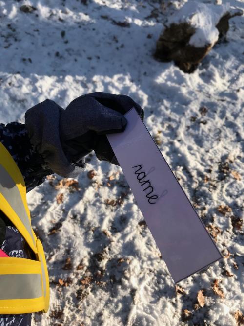 Sortie du 8 janvier 2021