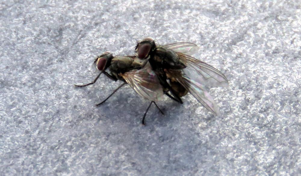 un couple qui ... !  