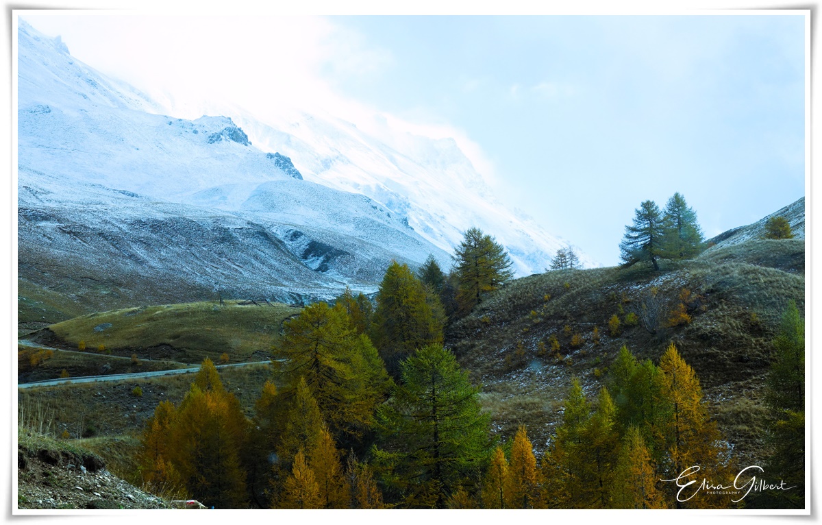 Ambiance hivernale
