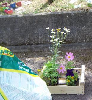 Jardin en cagettes