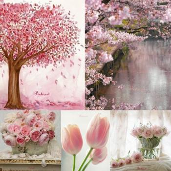 octobre rose1