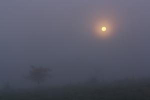 Deuxième pleine Lune de novembre