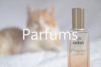 Catégories