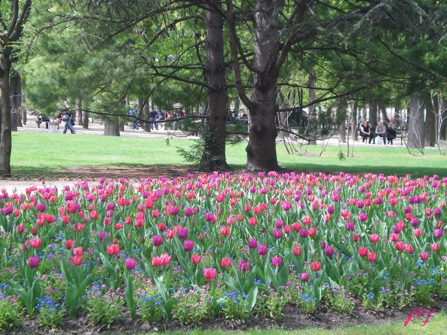 Image13.jpg