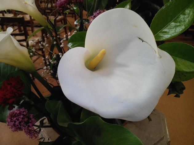 L'amour, Stances galantes