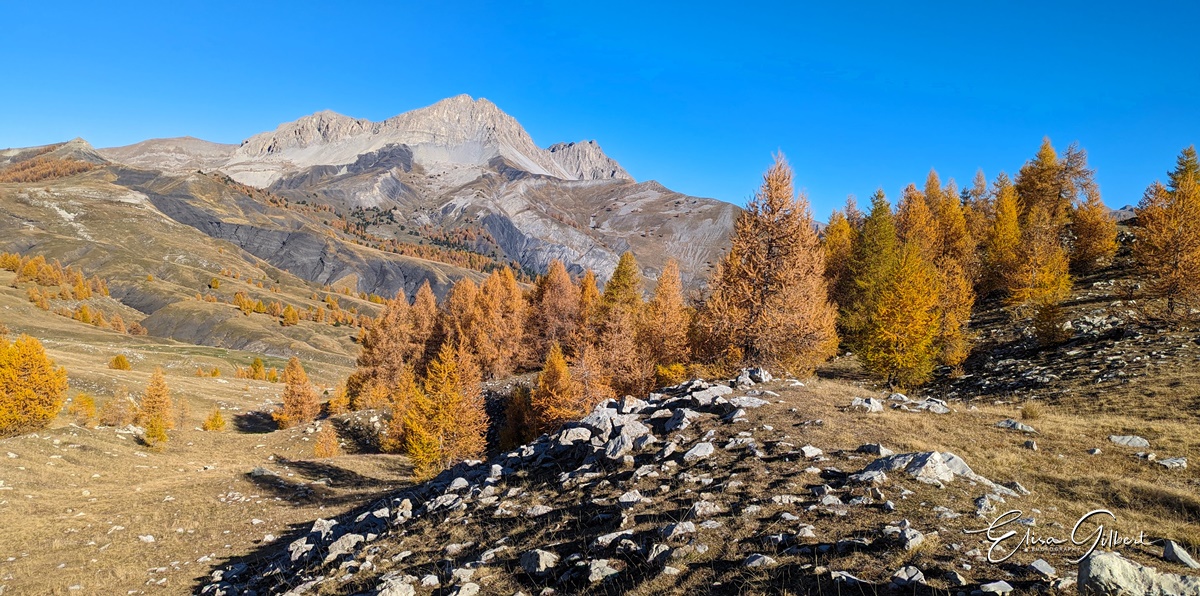 Dernier jour d'automne