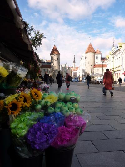 Les pays Baltes : Estonie : Jour 7 - matinée libre à Tallinn et retour sur Paris